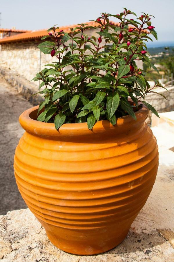 איה טריאס Villa Belair מראה חיצוני תמונה